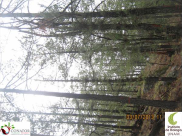 34154_S4_ARC_20130703_010.jpg.jpg