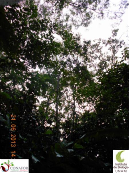 77370_S1_ARC_20130621_005_002.jpg.jpg