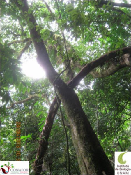 73138_S1_ARC_20130626_017_002.jpg.jpg