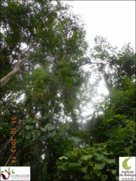 68287_S3_ARC_20131031_001_002.jpg.jpg