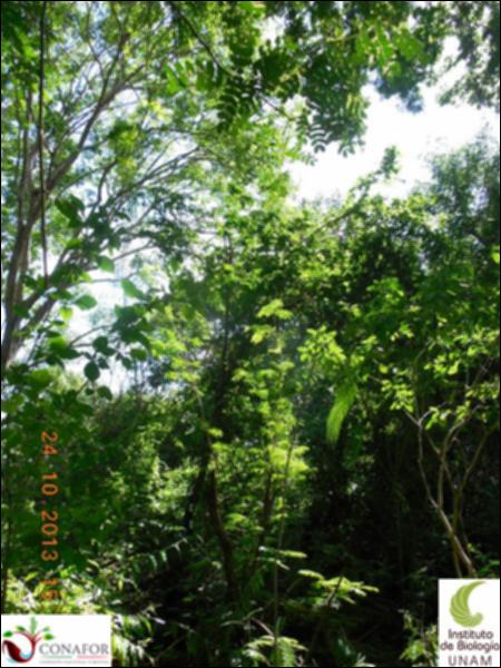 75099_S4_ARC_20131024_004_001.jpg.jpg