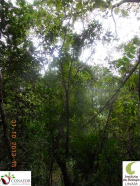 68287_S2_ARC_20131031_015_002.jpg.jpg
