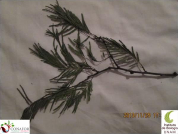 63014_S1_HJ2_20131124_008.jpg.jpg
