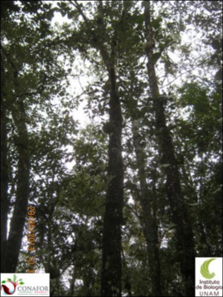 64985_S1_ARC_20130528_002_002.jpg.jpg