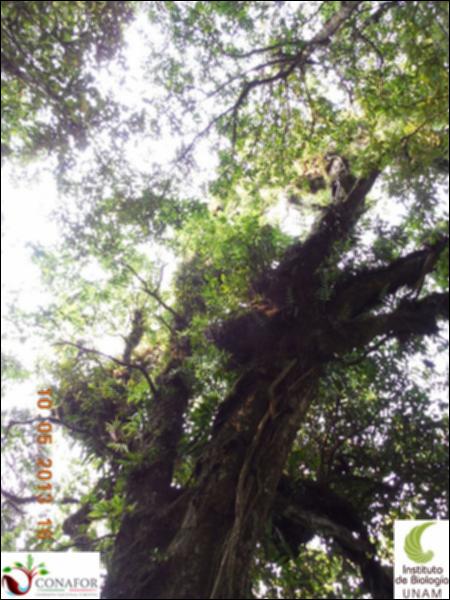 72924_S4_ARC_20130509_002_002.jpg.jpg