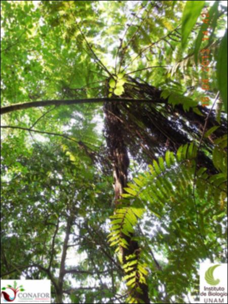 51833_S1_ARC_20130414_008_002.jpg.jpg