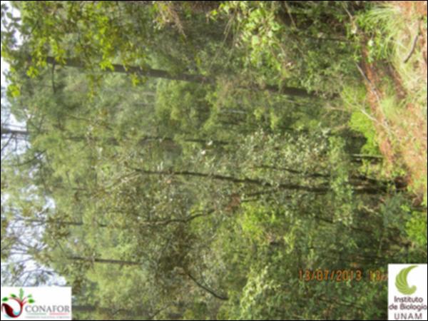 60311_S1_ARC_20130713_010.jpg.jpg