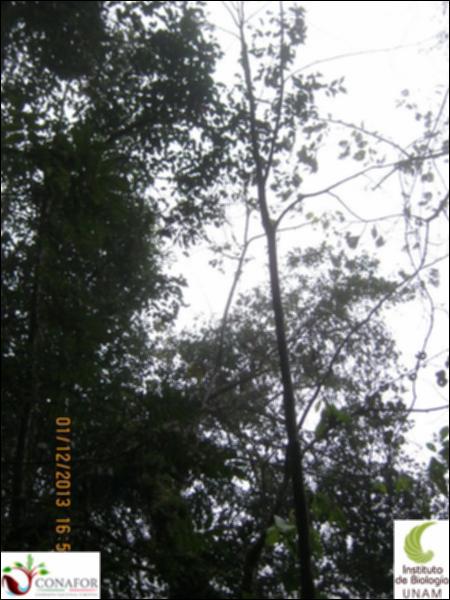 54167_S1_ARC_20131201_007_002.jpg.jpg