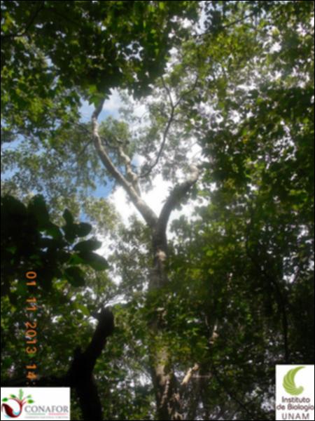 68540_S2_ARC_20131101_016_002.jpg.jpg