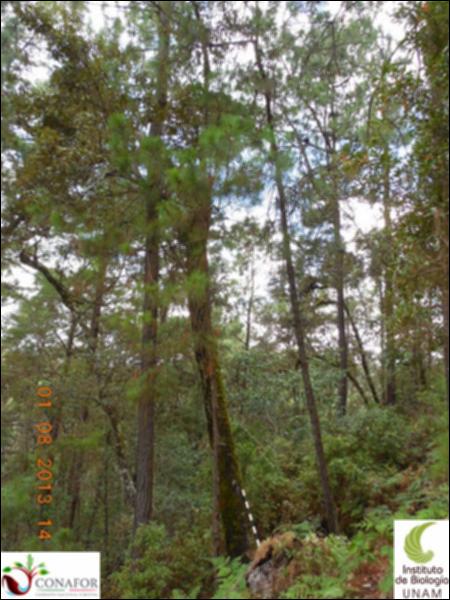 76839_S1_ARC_20130801_018_001.jpg.jpg
