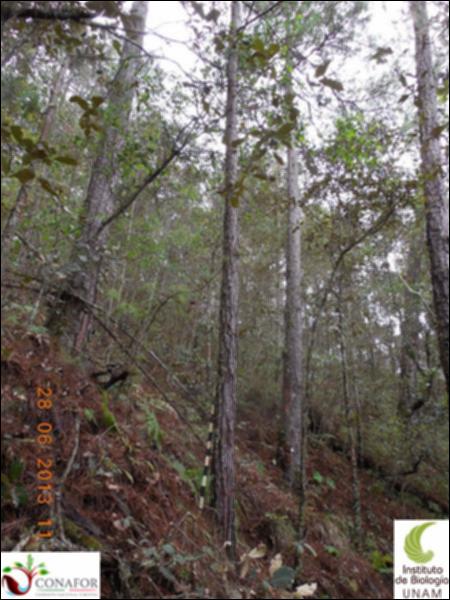 76959_S4_ARC_20130627_011_001.jpg.jpg