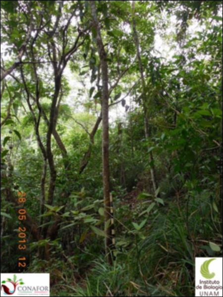 71460_S2_ARC_20130526_010_001.jpg.jpg