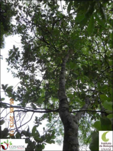 73568_S2_ARC_20130504_010_003.jpg.jpg