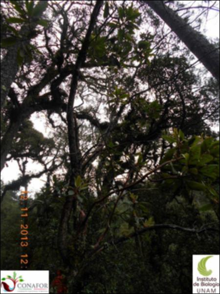 71631_S3_ARC_20131112_006_002.jpg.jpg