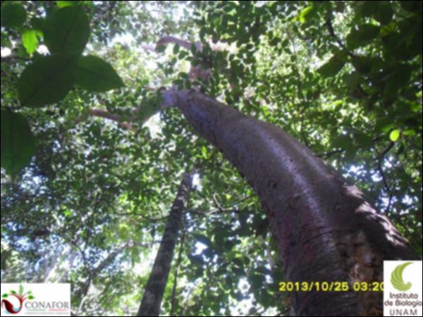 58405_S2_ARC_20131025_033_001.jpg.jpg