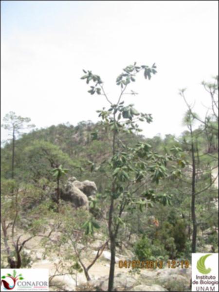 18764_S1_ARC_20130704_007.jpg.jpg