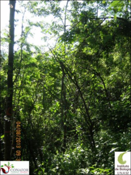 60996_S1_ARC_20130803_012.jpg.jpg