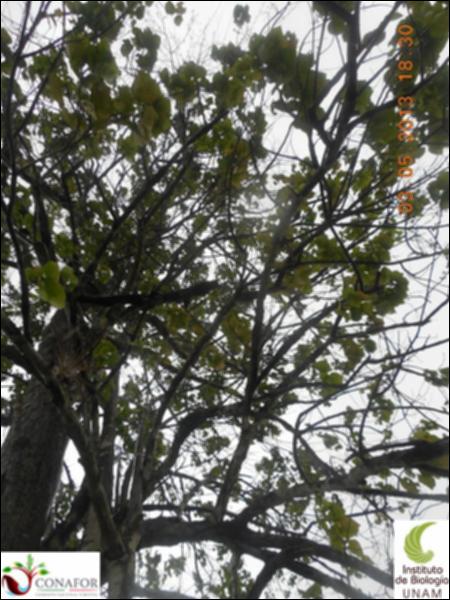 70088_S2_ARC_20130503_002_002.jpg.jpg