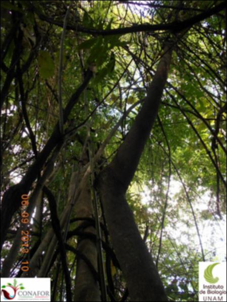70884_S3_ARC_20130905_001_002.jpg.jpg