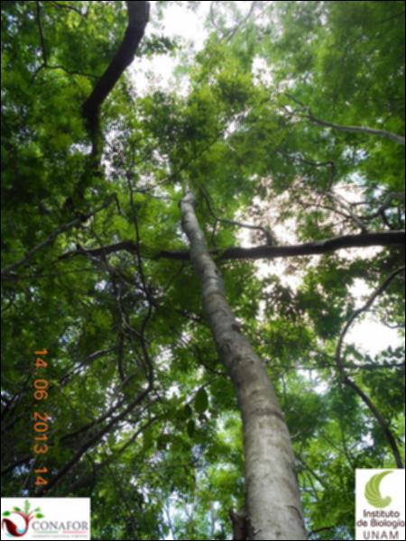 49807_S4_ARC_20130614_024_001.jpg.jpg