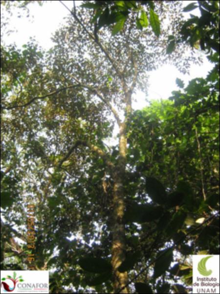 67607_S1_ARC_20130501_021_002.jpg.jpg