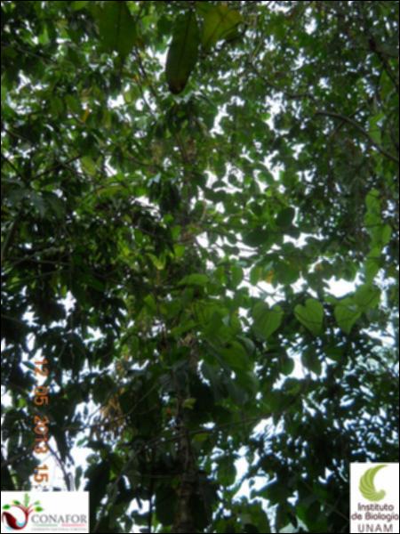 71465_S1_ARC_20130512_021_002.jpg.jpg