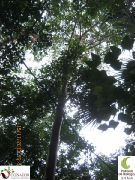 50449_S4_ARC_20131115_033_002.jpg.jpg