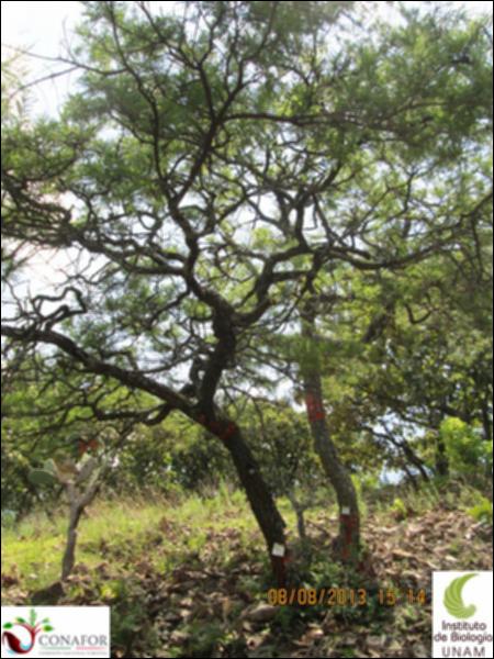 54052_S1_ARC_20130808_004.jpg.jpg