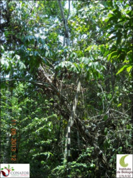 71892_S1_ARC_20130510_010_001.jpg.jpg