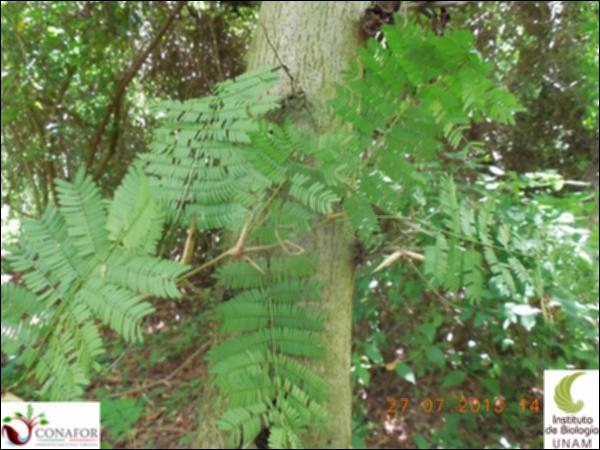 77242_S1_HJ2_20130727_004_001.jpg.jpg