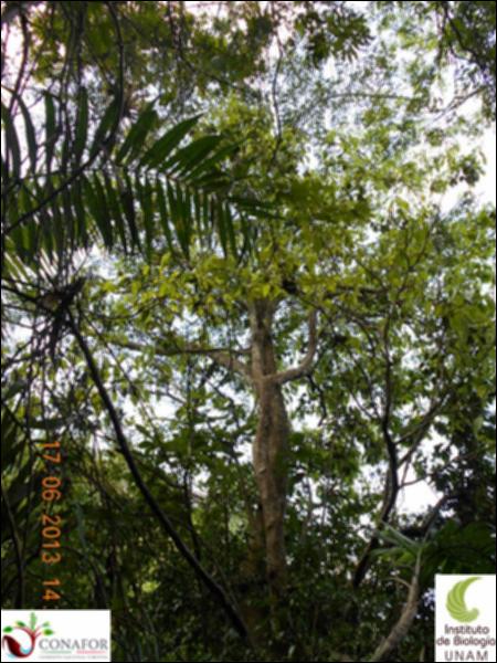77446_S1_ARC_20130617_025_002.jpg.jpg