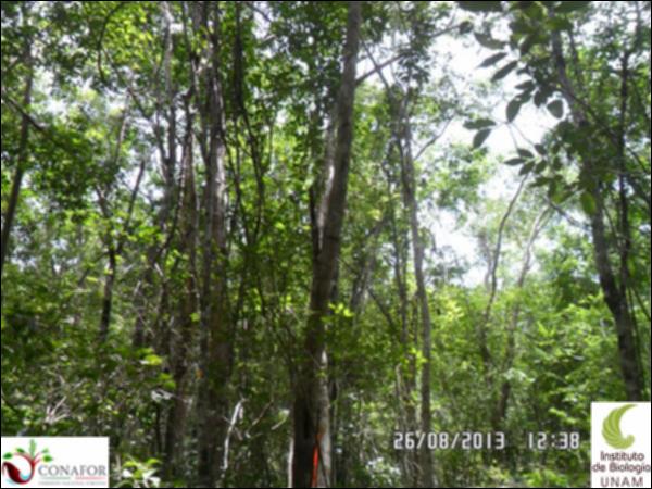 57642_S1_ARC_20130826_005_001.jpg.jpg