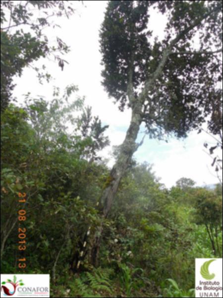 71581_S2_ARC_20130821_005_001.jpg.jpg