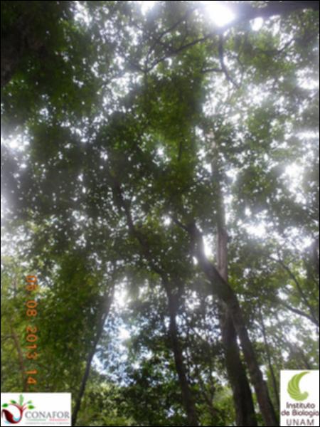 76829_S1_ARC_20130805_005_002.jpg.jpg