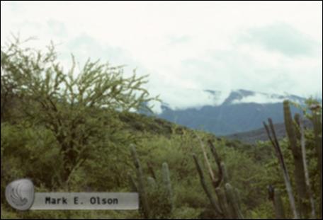 1998.jpg.jpg