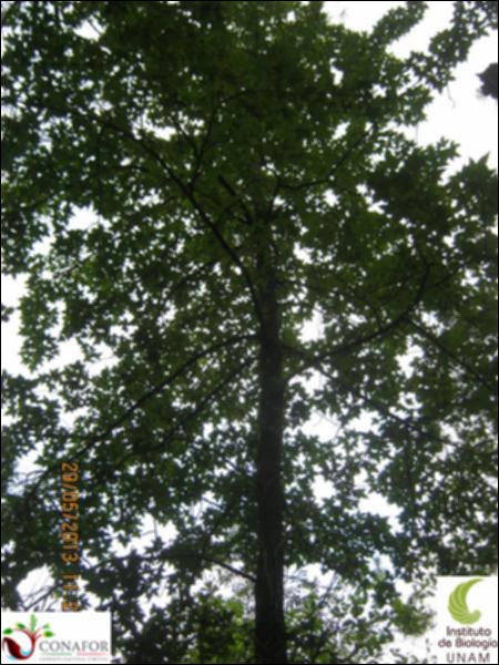 64985_S1_ARC_20130528_025_002.jpg.jpg