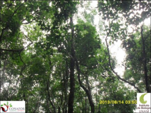 56149_S1_ARC_20130814_028_002.jpg.jpg