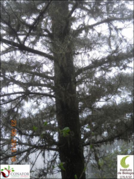 76969_S1_ARC_20130623_005_002.jpg.jpg