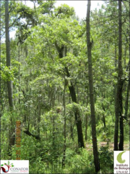 71355_S1_ARC_20130904_011_001.jpg.jpg