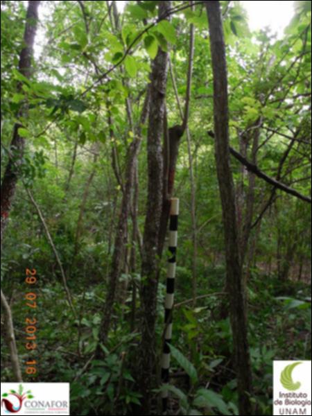 77252_S1_ARC_20130729_007_001.jpg.jpg