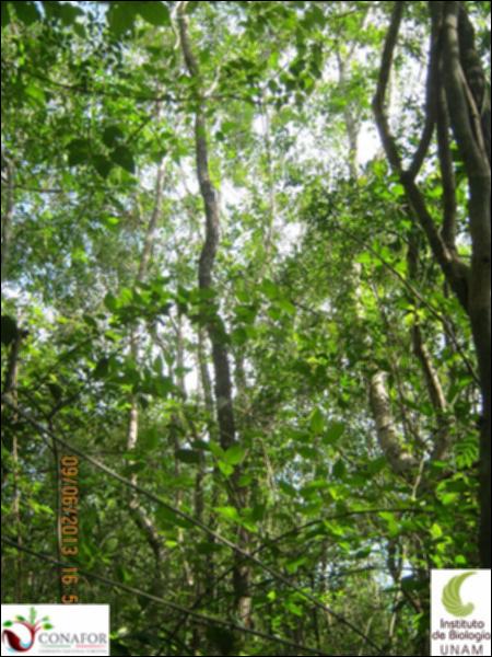 51194_S3_ARC_20130609_014_001.jpg.jpg