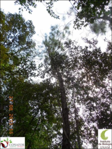 72500_S4_ARC_20130824_015_02.jpg.jpg