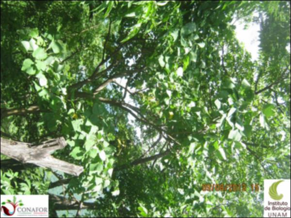 36696_S4_ARC_20130809_003.jpg.jpg