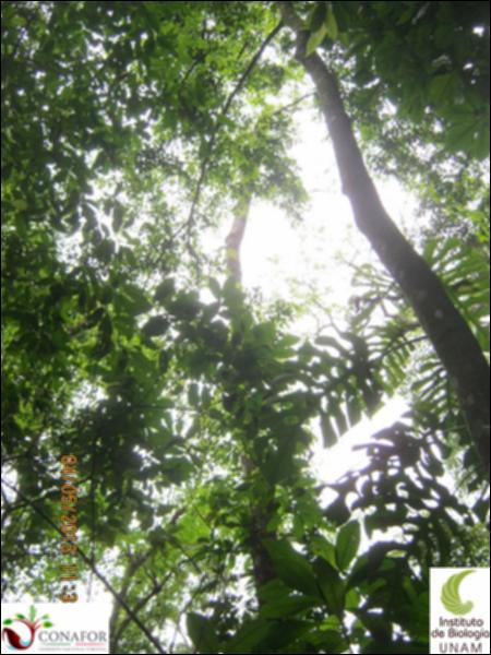 68906_S1_ARC_20130503_011_002.jpg.jpg