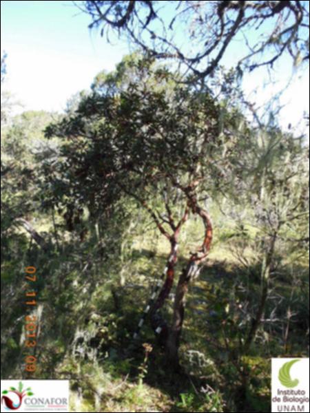 70517_S1_ARC_20131106_001_001.jpg.jpg
