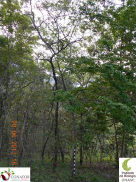 77183_S4_ARC_20130620_010_001.jpg.jpg