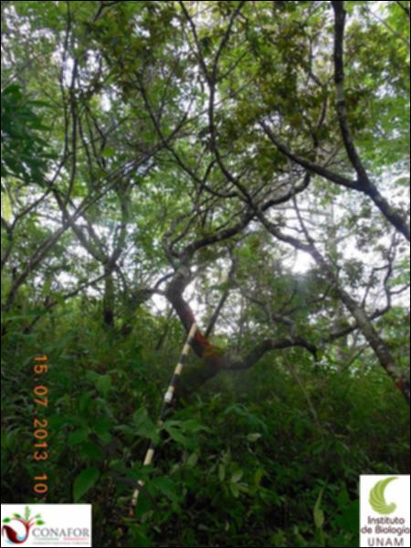 76707_S1_ARC_20130714_011_001.jpg.jpg