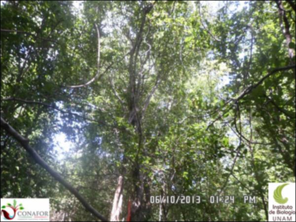53757_S1_ARC_20131006_009_001.jpg.jpg