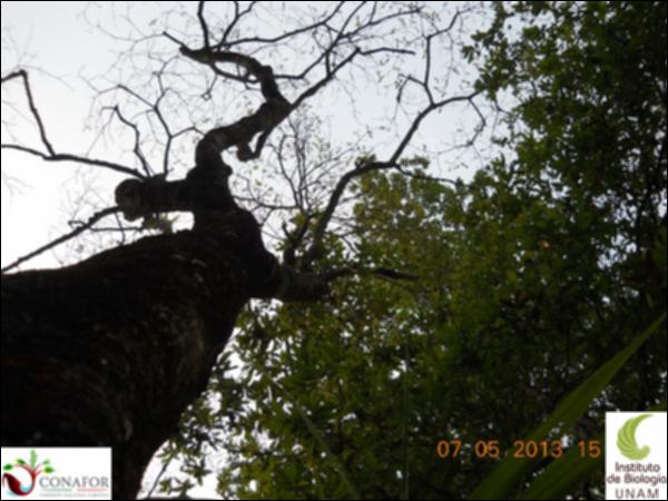 73778_S1_ARC_20130507_004_003.jpg.jpg