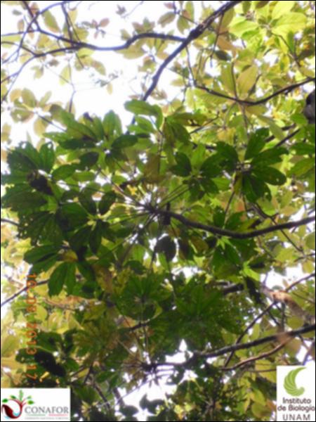 72924_S2_ARC_20130509_010_003.jpg.jpg